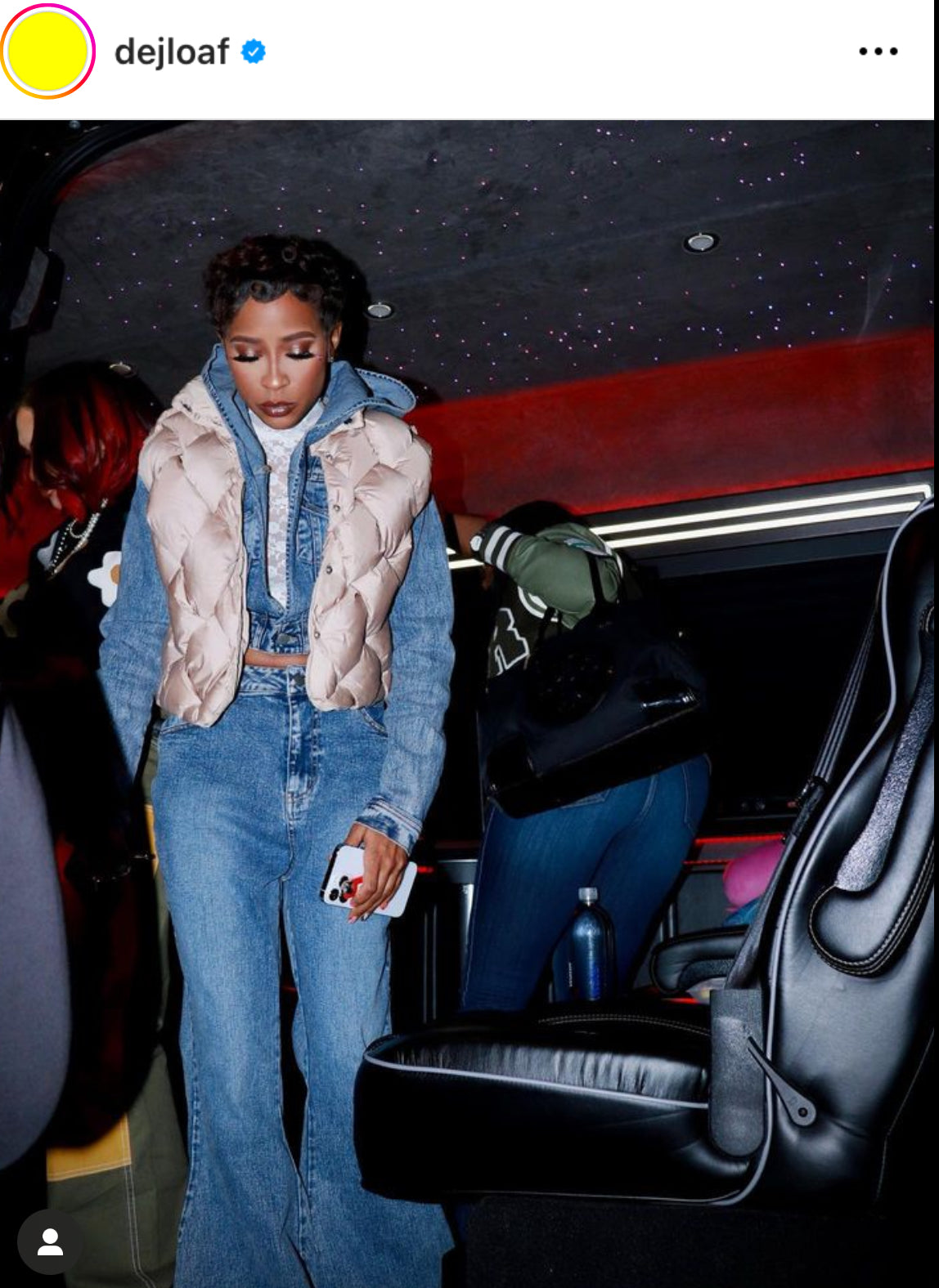 Puffer vest